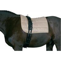 Horse Guard Cheval Longergjord