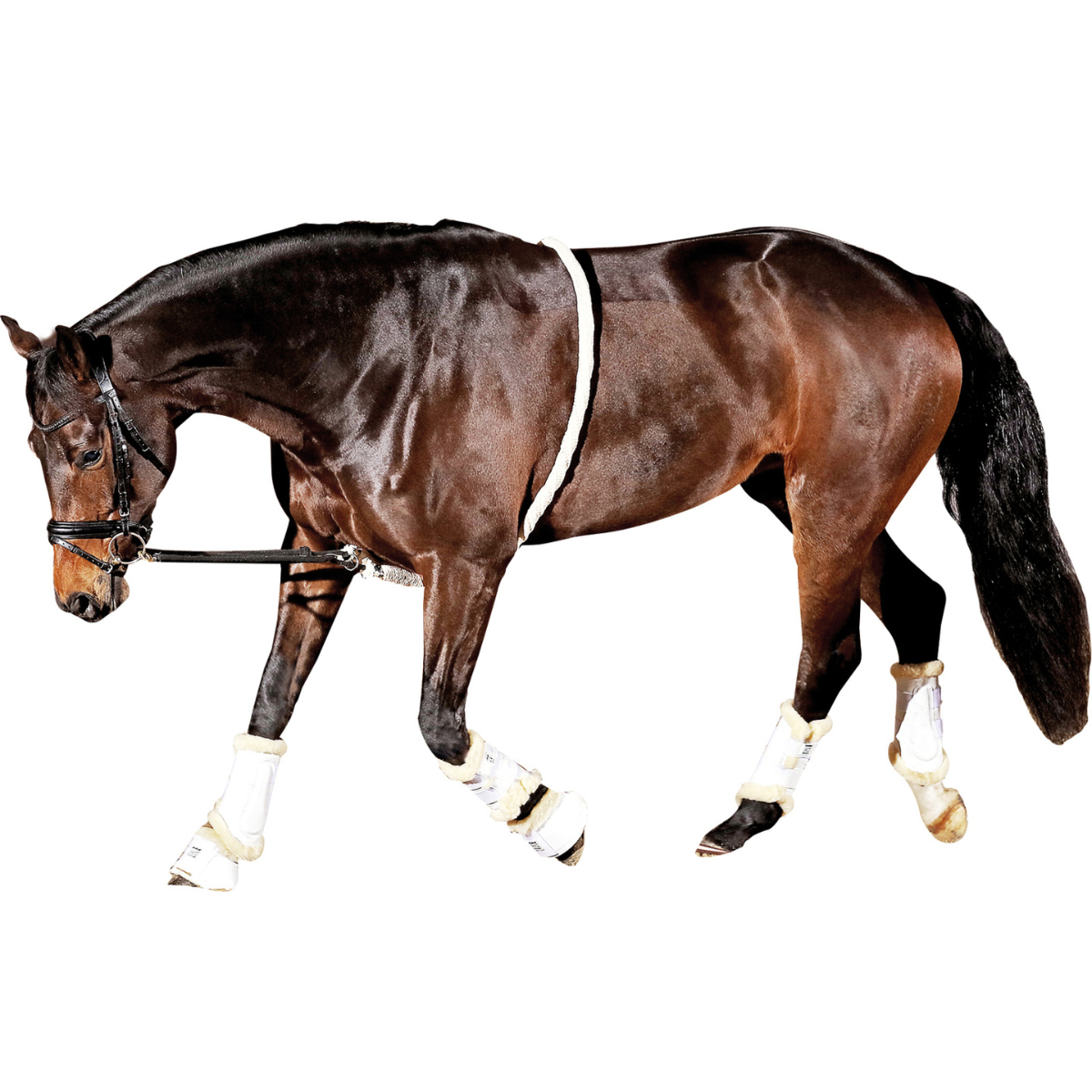 Horse Guard Soft Longeringshjälp