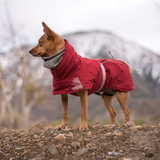 Hurtta Extreme Warmer