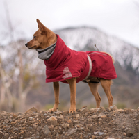 Hurtta Extreme Warmer