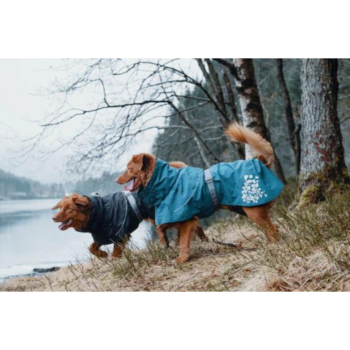 Hurtta Monsoon Raincoat