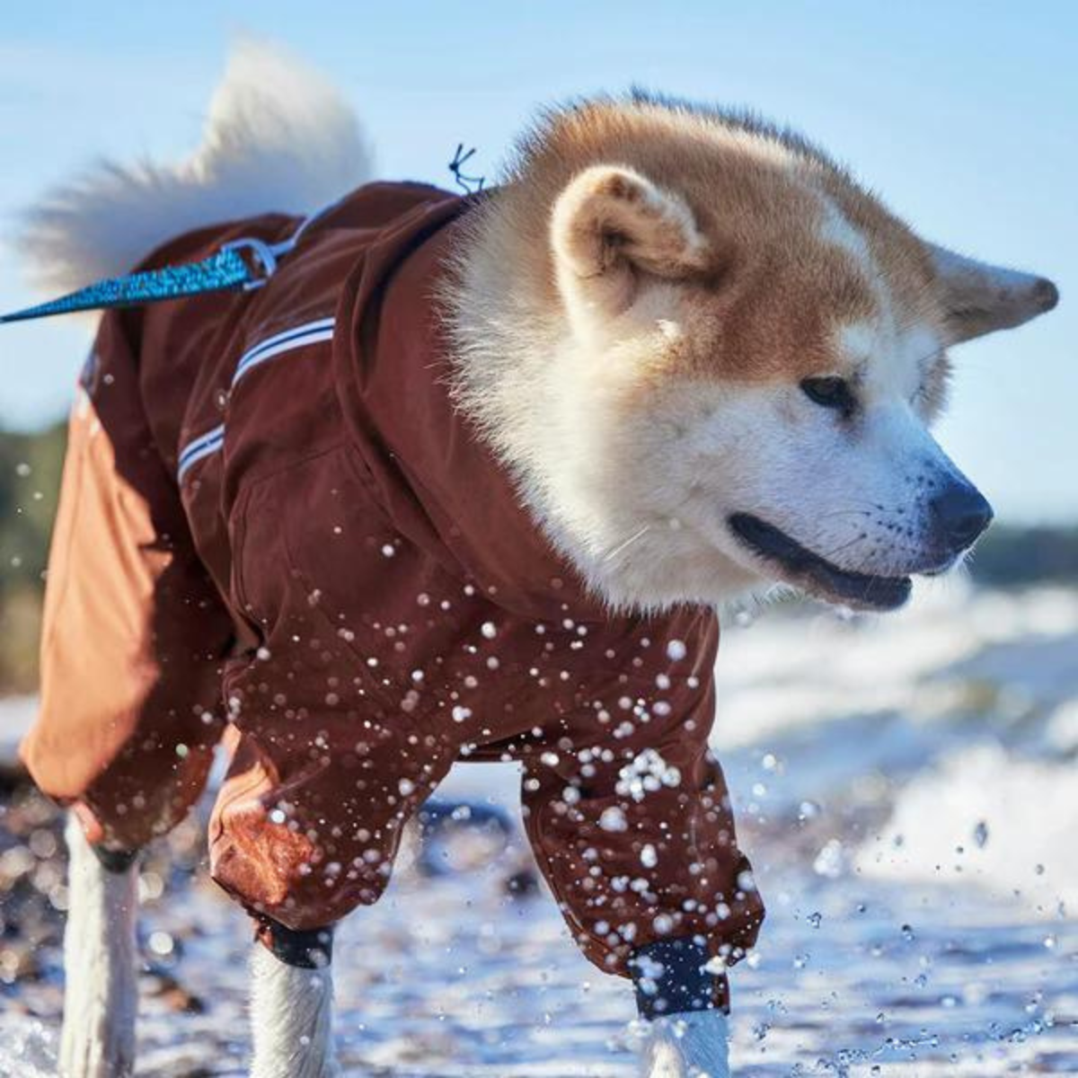 Hurtta Mudventure Overall ECO