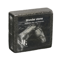 Horse Guard Rytksten