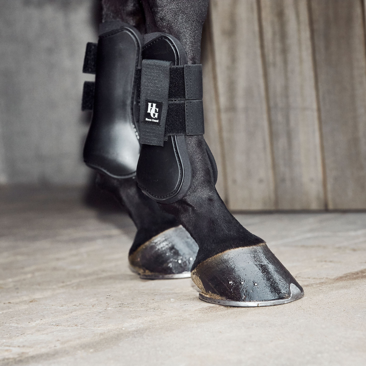 Horse Guard Senskydd