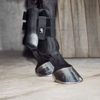 Horse Guard Senskydd