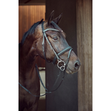 Horse Guard Universal Curve Bit