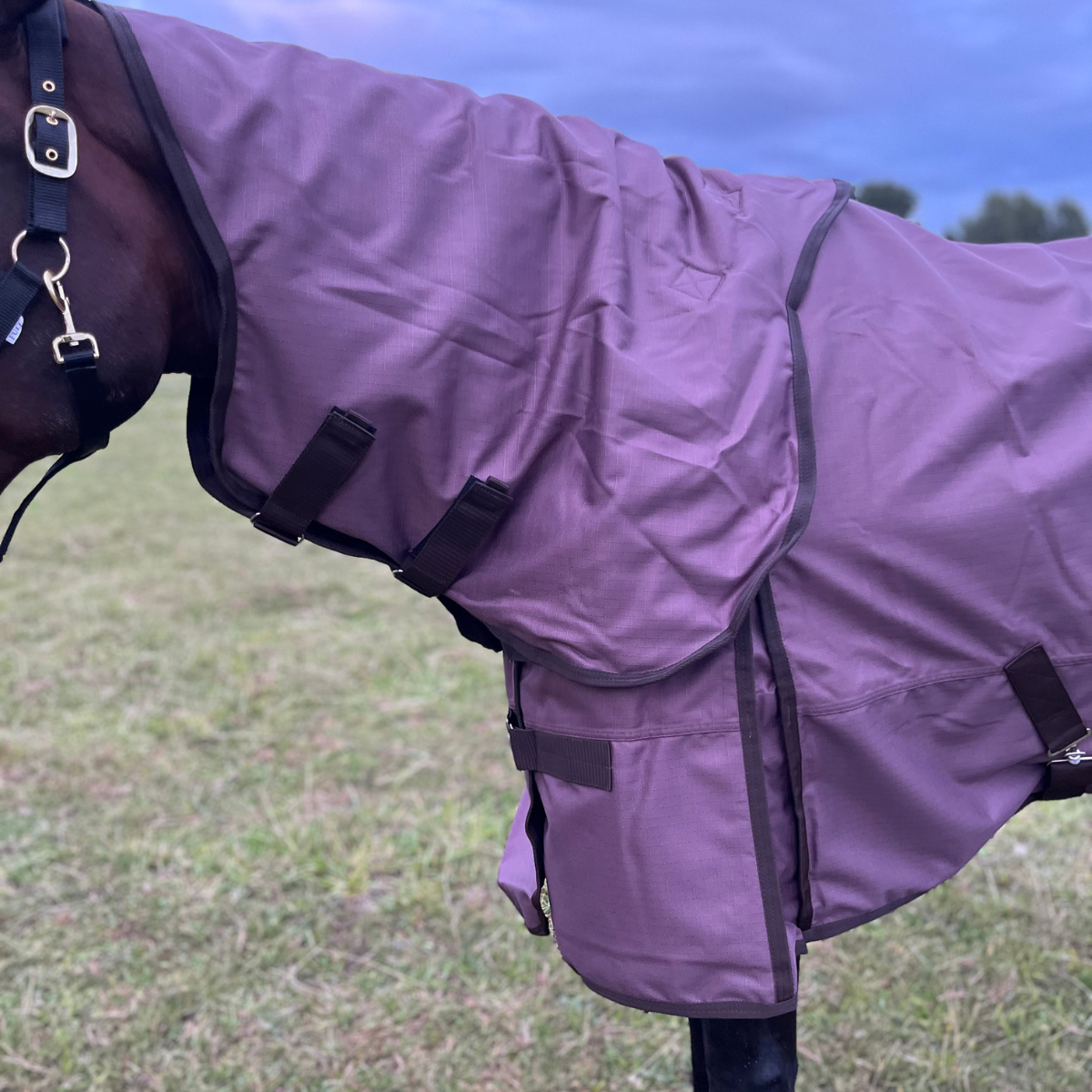 Lippo Limited Edition Utetäcke Plus 100g