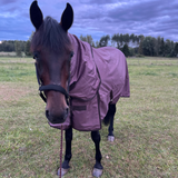 Lippo Limited Edition Utetäcke Plus 100g