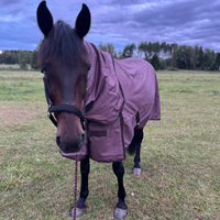 Lippo Limited Edition Utetäcke Plus 100g