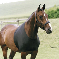 Horse Guard Bogskydd