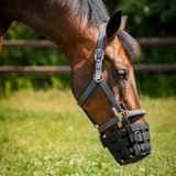 Horse Guard Munkorg Neopren