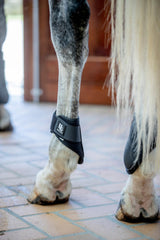 Horse Guard Iron Coats