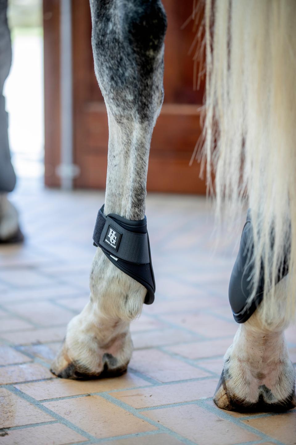 Horse Guard Iron Coats