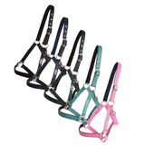 Horse Unique Basic Grimma