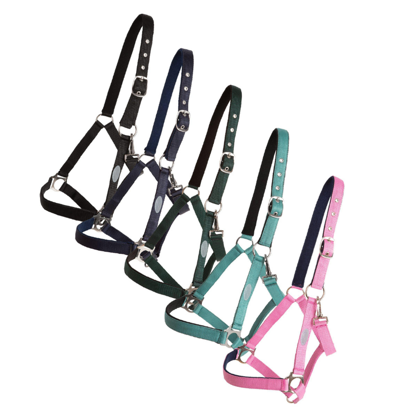 Horse Unique Basic Grimma