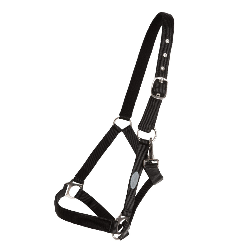 Horse Unique Basic Grimma