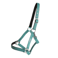 Horse Unique Basic Grimma