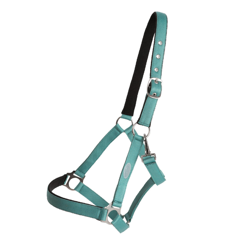 Horse Unique Basic Grimma