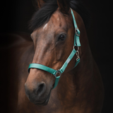 Horse Unique Basic Grimma