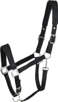 Horse Guard Diya Halter 2.0
