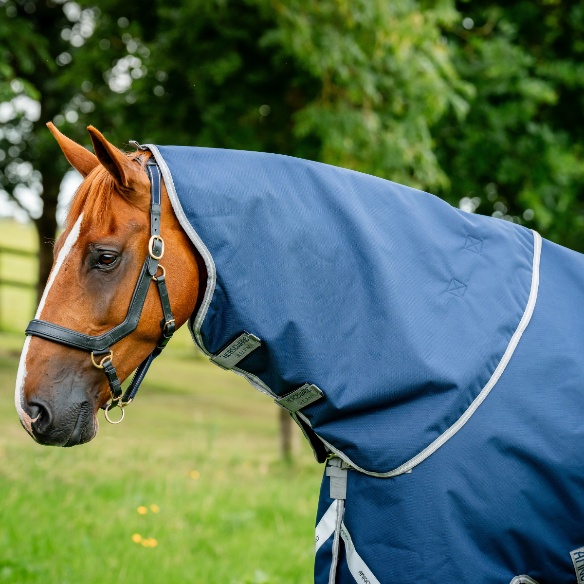 Horseware Amigo 1200D Hals 0g