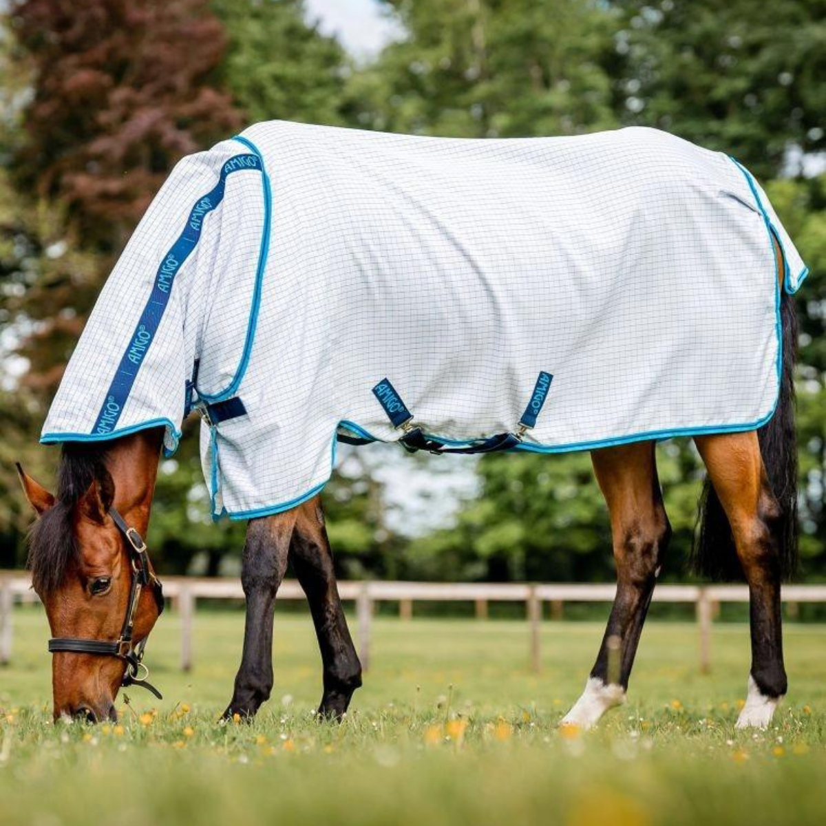 Horseware Amigo Aussie Allrounder