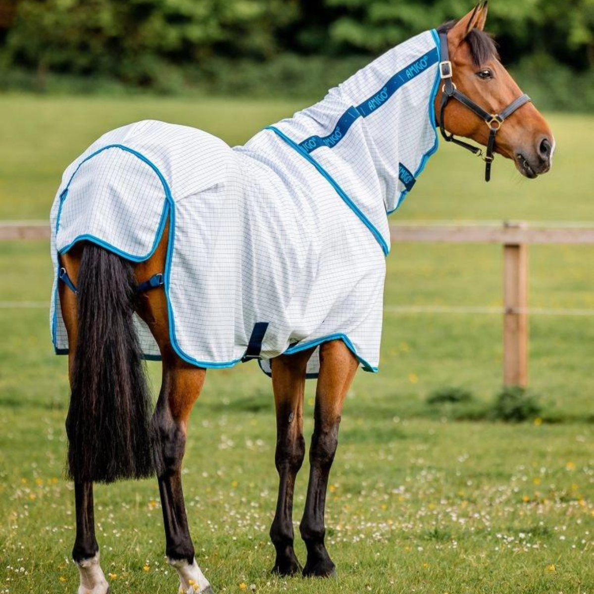 Horseware Amigo Aussie Allrounder