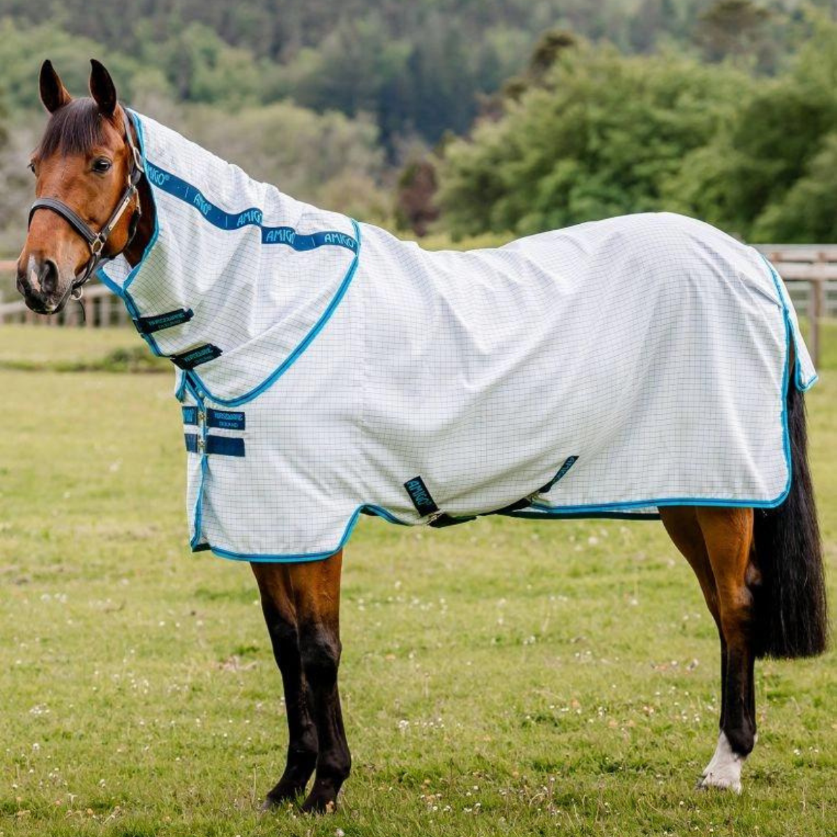 Horseware Amigo Aussie Allrounder