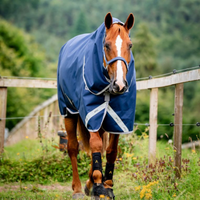 Horseware Amigo Bravo 12 Plus 100g