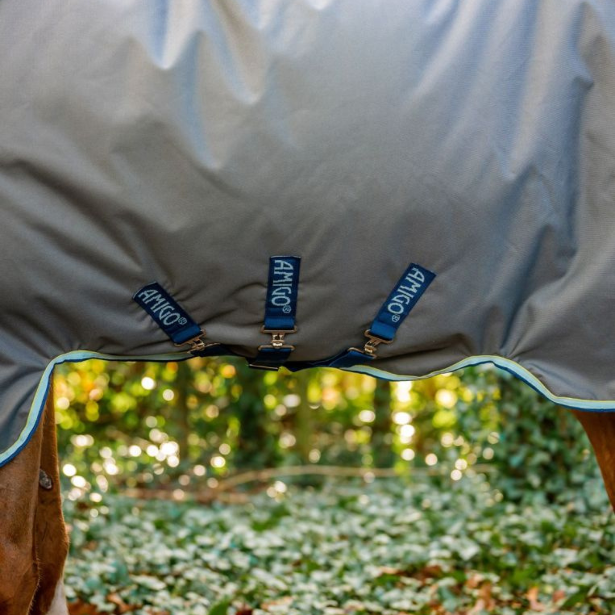 Horseware Amigo Bravo 12 Plus 400g