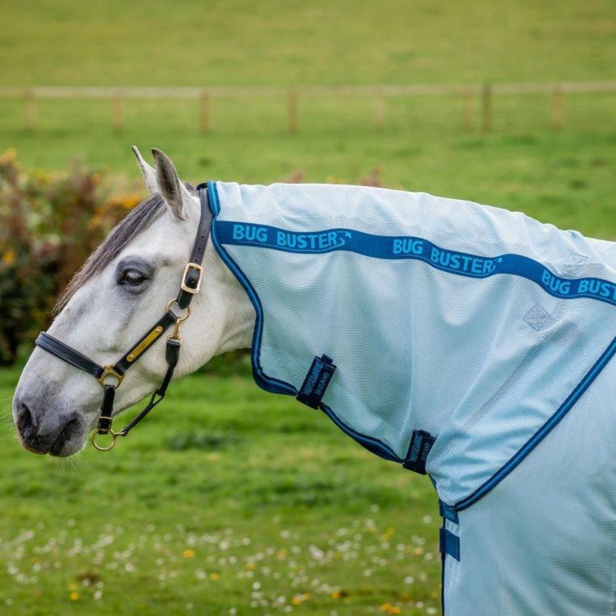 Horseware Amigo Bug Buster