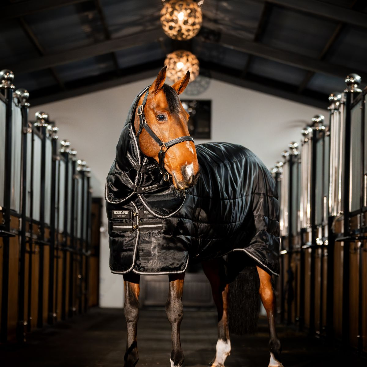 Horseware Amigo Easy-Layer Stable Plus 200g