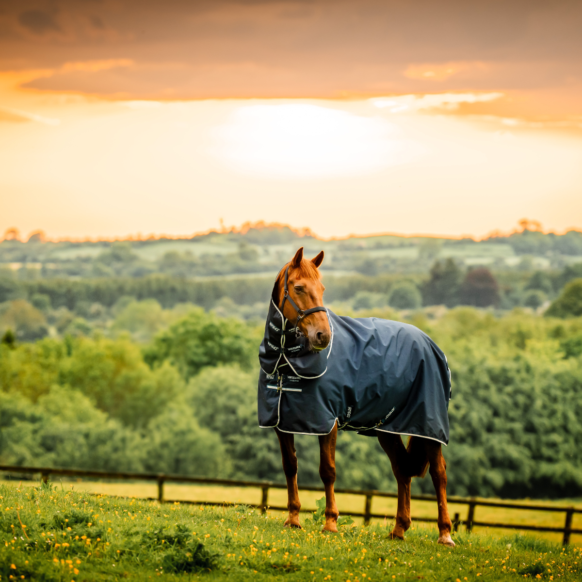 Horseware Amigo Ripstop 900D Pony Plus 200g