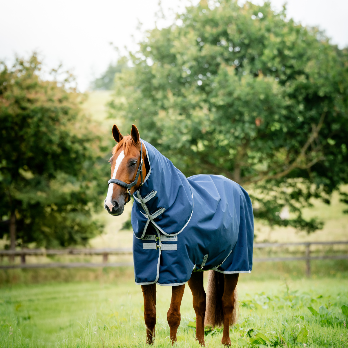 Horseware Amigo Ripstop Plus 100g