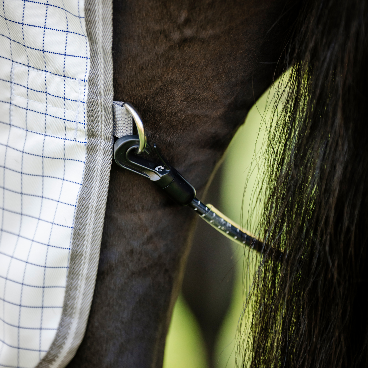 Horseware Amigo Summer Sheet Plus