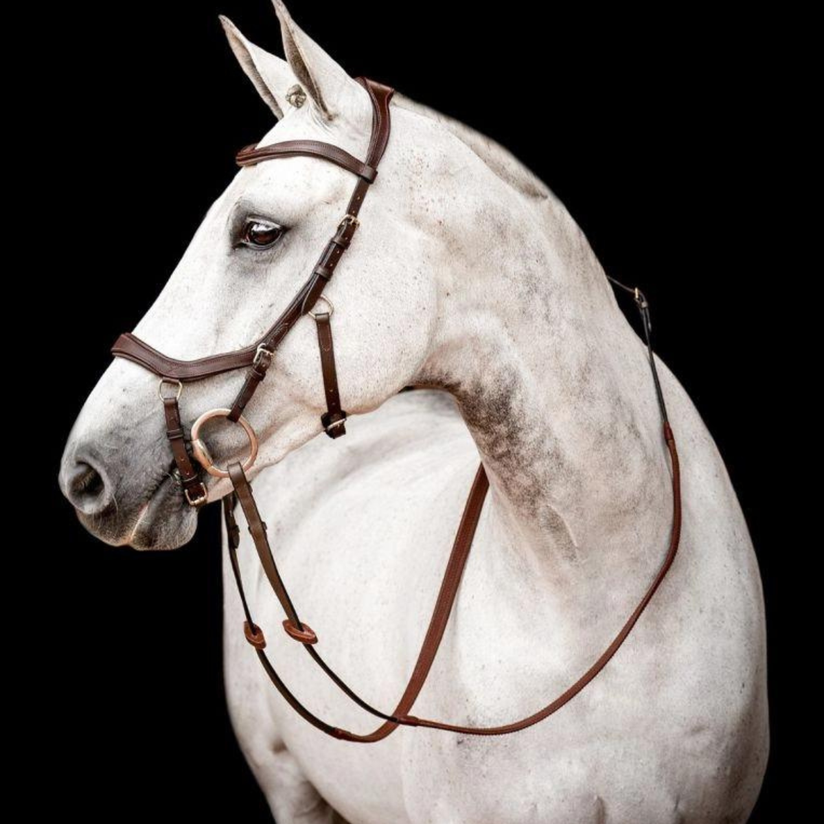Horseware Micklem2 Competition Träns