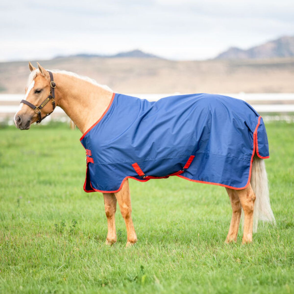 Horseware Mio Utetäcke 0g