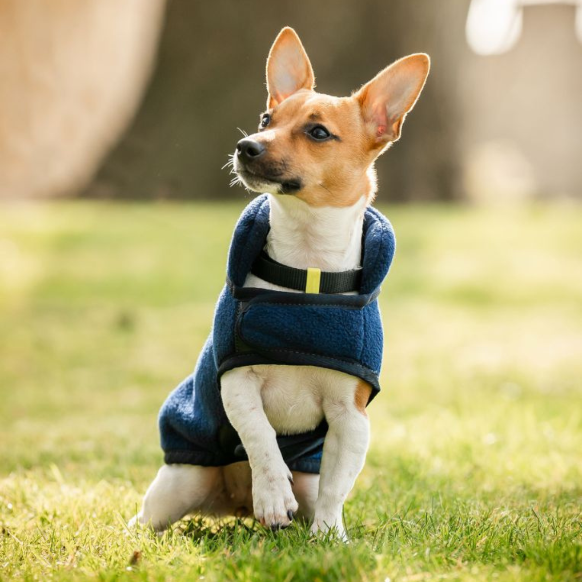 Horseware Signature Hundtäcke Fleece