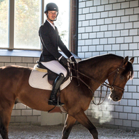 Horseware AA Tävlingskavaj Herr