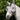 Horseware Defense Flughuva