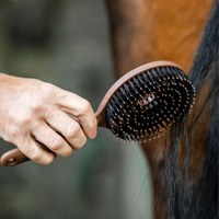 Horseware Man- och svansborste