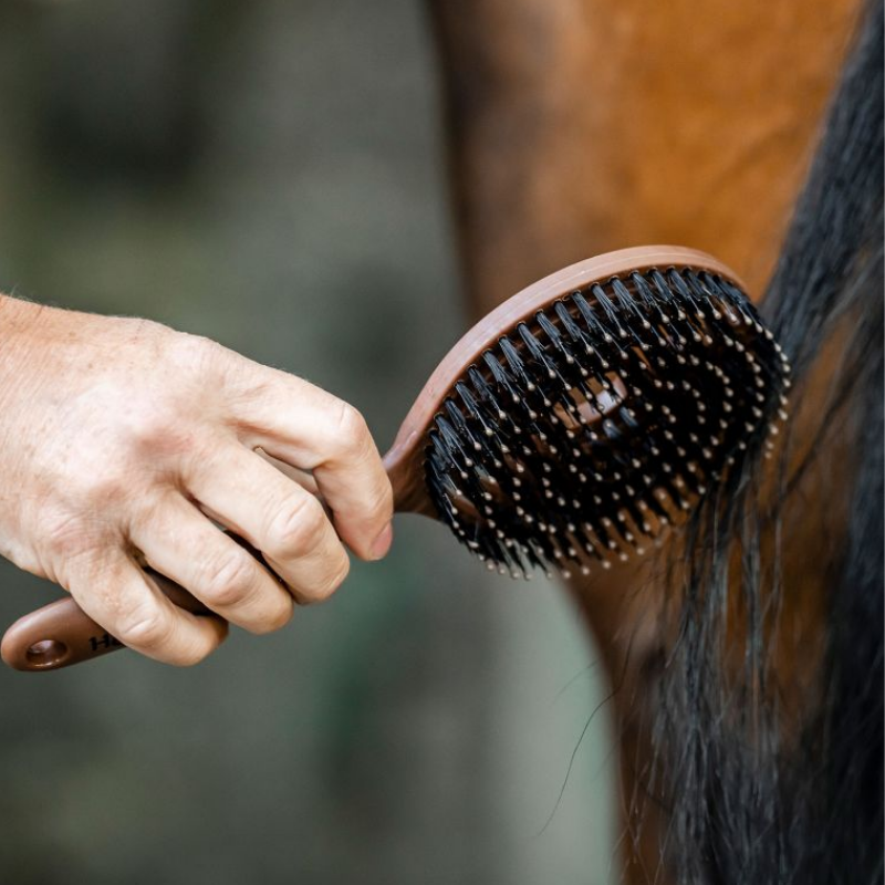 Horseware Man- och svansborste