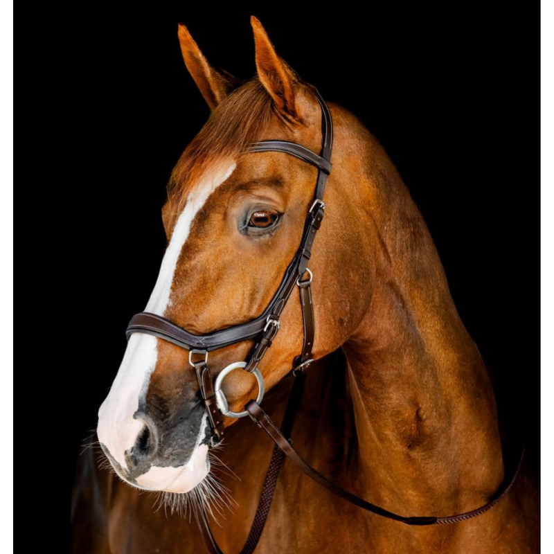 Horseware Micklem Competition Träns