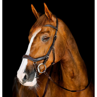 Horseware Micklem Competition Träns