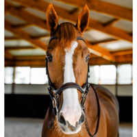 Horseware Micklem Competition Träns