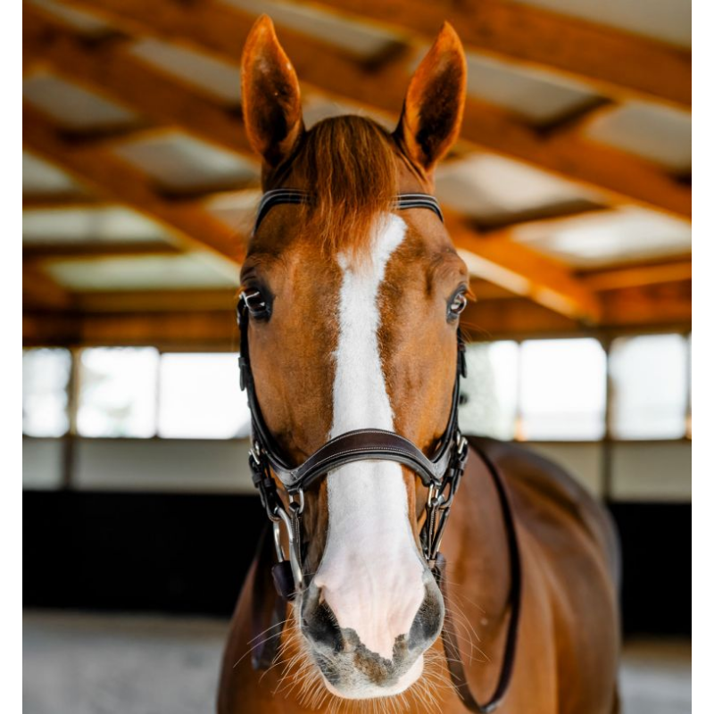 Horseware Micklem Competition Träns