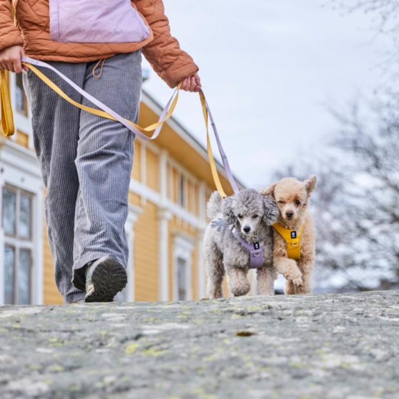 Hurtta Seeker Hundsele