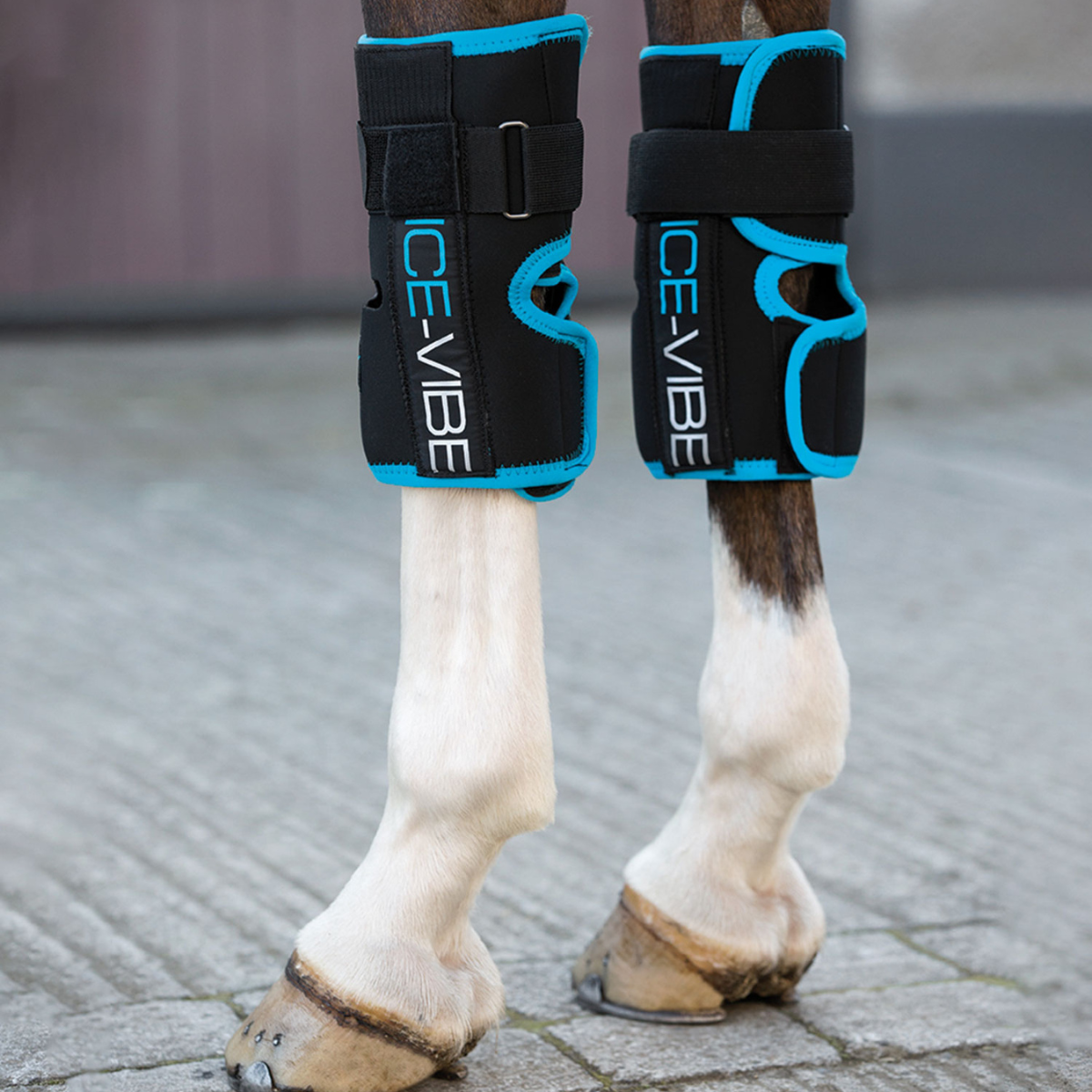 Horseware Ice Vibe Knä