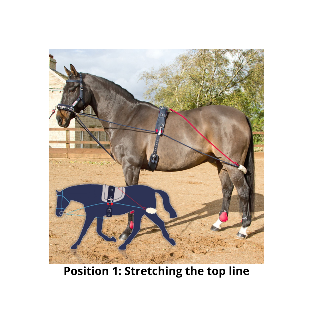 John Whitaker Longeringsystem