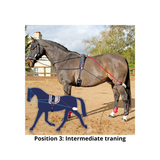 John Whitaker Longeringsystem